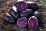 Freshly harvested Purple Potatoes delivery
