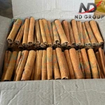 Cigar Cassia Premium Quality