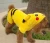 Import Pikachu cartoon design pet costume puppy costume from China