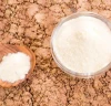 Hydrolyzed Collagen Supplements 2026
