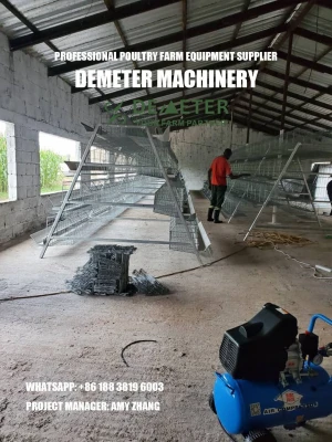 Poultry Farming Equipment Layer Chicken Cage from DEMETER