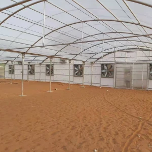 Hot sale chinese polycarbonate green house greenhouse agriculture with irrigation&hydroponics equipment