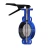 Import Butterfly valve from Singapore