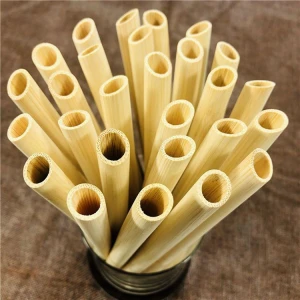 Carbonized Bamboo Straws 100% Biodegradable