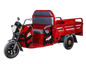 Electric tricycle for cargo