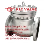 ASTM A890 GR 4A 5A 6A flanged swing check valve