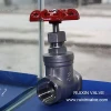 Threaded End 200PSI Gate Valve Stainless Steel
