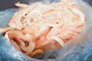 Frozen Salmon Bellies For Sale Best Prices
