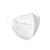 Import Premium KN95 Protective Masks from South Africa