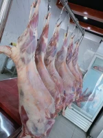 Frozen and chilled meat