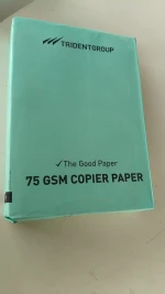 Print and Copy Paper