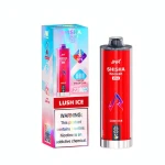 Professional Vape Supply | JNR Shisha Hookah Max Lush Ice 22K | Authentic Factory | Fast Delivery to Romania & Global