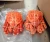 Import Live Red King Crabs,live blue crab,russian king crab from South Africa