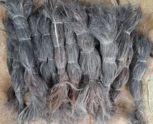 cow tail hair,cow tail hair supplier,cattle tail for sale,catlle tail hair price