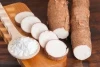 Native tapioca starch