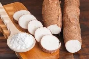 Native tapioca starch