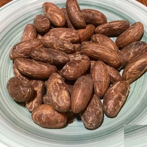 100% Organic Fresh African Bitter Kola Nuts/Garcinia kola Nut For Sale