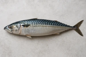 Mackerel