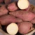 Import High Quality Fresh Potatoes Export from Vietnam