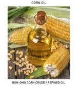 NON-GMO Corn OIL CRUDE or REFINED OIL