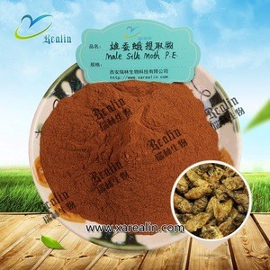 100% natural Male Silk Moth Extract for mans health care