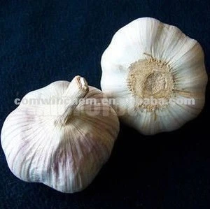100% Pure Garlic Extract/Pure Natural Garlic Extract Allicin Powder/ Garlic Allicin