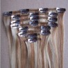 100% Remy Human Hair Clip in Hair Extension