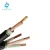 Import 2 core armored cable 2 core 16mm power cable from China