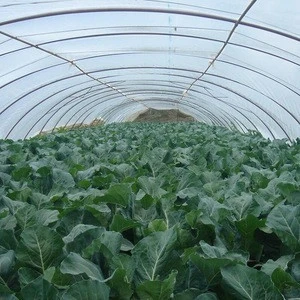 2018 Best Selling Product UV Resistant Agricultural Greenhouse Design Sunsaver Plastic Film For Farm Use