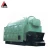 Import 2020 Brand New DZL Solid Fuel Boiler Made In China from China