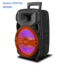 2020 DJ sound bass sound bluetooth speaker with LED light music system with USB FM support trolley speaker karaoke