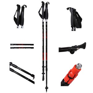 2020 spring hot sale outdoor exercise equipment two sections nordic walking pole/ alum 6061 walking stick