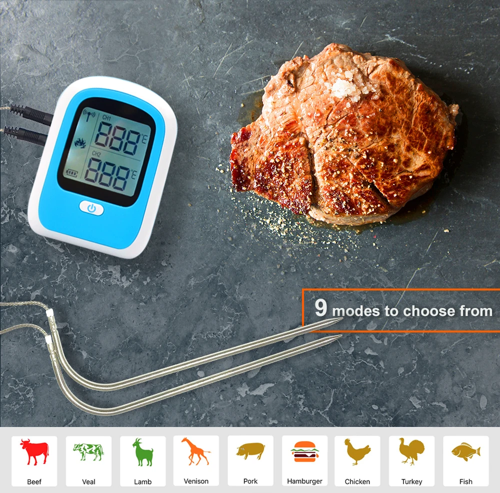 2021 TIZE Wifi Oven Cooking Lcd Professional Timer Meat Thermometer Remote For The Oven Grill