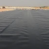 2mm HDPE Fish Farm Pond Liner Geomembrane