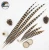 Import 4-6 Inch(10-15 cm)Chinese Top Manufacturer Best Selling Cheap  Natural Reeves Pheasant Tail Feathers for hat and pen from China