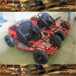 48V 20AH 1000W Mini Electric Go Kart for Kids