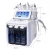 Import 6 in 1 Oxygen Facial deep cleansing Water Jet Peel face lifting from China