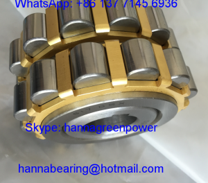 617GSX Brass Cage Eccentric Bearing ; 617 GSX Cylindrical Roller Bearing 60*113*31mm