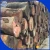 Import 80cm diameter high quality wood logd ebony rosewood / tali logs from China