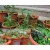 Import 82 Feet Drip Irrigation Kits Plant Watering System Blank Distribution Tubing Hose Irrigation Sprinkler for Family Home Office from China