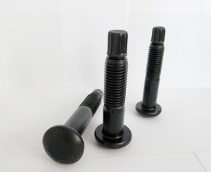 A325-TC High tensile steel bolts