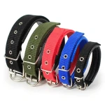 Adjustable Padded Nylon Heavy Dog Collar with Metal Buckle