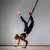 Import Aerial Yoga Cord Pilates Elastic Suspension Sling Trainer Bungee Dance Pull Rope bungee fitness equipment from China