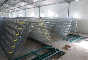 Agricultural equipment layer quail cages for South africa Bird cage for quails