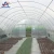 Import Agriculture plastic PE Film tunnel greenhouse for sale from China