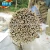 Import Agriculture/Bamboo Raw Materials/Natural bamboo cane 90cm 10-12mm from China