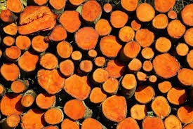 Alder Logs