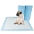 Import Amazon Hot Selling Quick Drying Surface Super absorbent Core Puppy Pet Training Potty Dog Pee Pads from China