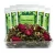 Import Amazon Suggested V Steam Herbal Blend 33 ingredients 2oz Yoni Steaming Herbs For Women from China