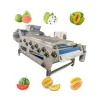 Apple Pear Berry Juice Processing Line Pomegranate Passion Fruit Juicer Extractor Machine